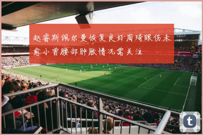 赵睿斯佩尔曼恢复良好周琦眼伤未愈小曾腰部肿胀情况需关注